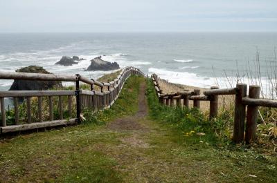 2024年 北海道旅行記３：霧多布岬でラッコと遭遇！