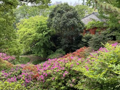 小石川植物園に行ってきました　その３