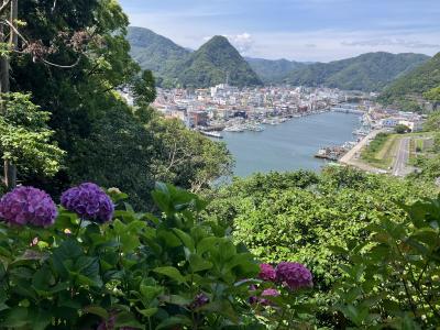 紫陽花咲き誇る南伊豆下田・天気予報GOGO！！出会い溢れた２泊編