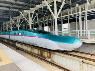 初めての北海道新幹線で出張