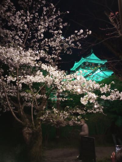 2024桜紀行（前半） 静岡浅間神社・駿府城公園・豊川稲荷・岡崎公園