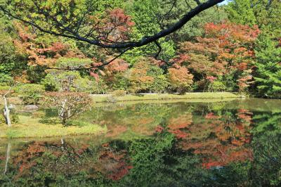 滋賀・奈良・京都の旅(11)【秋篠寺/円成寺/浄瑠璃寺/正寿院】