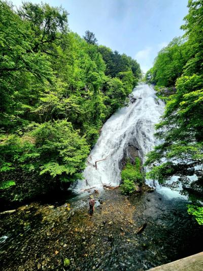 シニアトラベラー！日光日帰りドライブ満喫の旅①