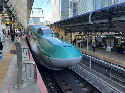 2024年6月 青森・弘前・大鰐・白神・秋田の旅(1泊2日)【前編】青森・弘前・大鰐