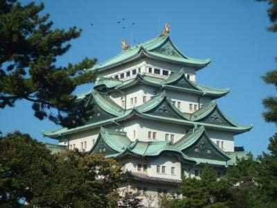 名城公園と名古屋城をひとり観光。花と猫を少し＆隅櫓の特別公開を見ることができました。