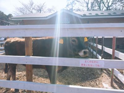 那須に関する旅行記・ブログ(4ページ)【フォートラベル】 |栃木県 那須に関する旅行記・ブログ(4ページ)【フォートラベル】 |栃木県