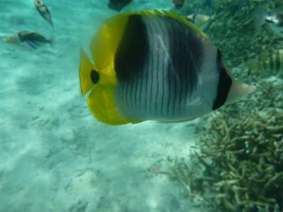 円安だけど1週間のGuam旅　その3