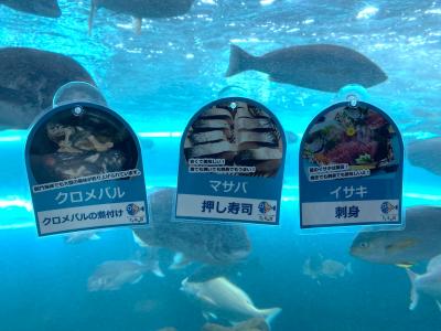 2024夏:ふくの下関