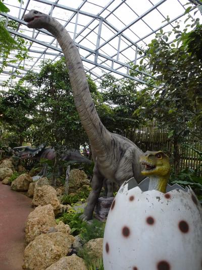 2024 ANAダイヤモンド達成 沖縄5泊旅行3日目後半 ダイナソーアドベンチャーツアー、神着にて琉球料理の夕食編