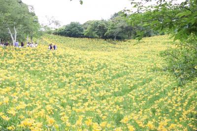 202406 映画のロケ地、可睡ゆりの園訪問と風鈴まつり