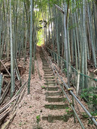 日光水戸駅伝単独走【番外編】26.4Km　馴柴→我孫子