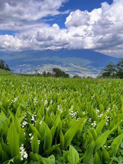 すずらん見頃の入笠山へ日帰り旅