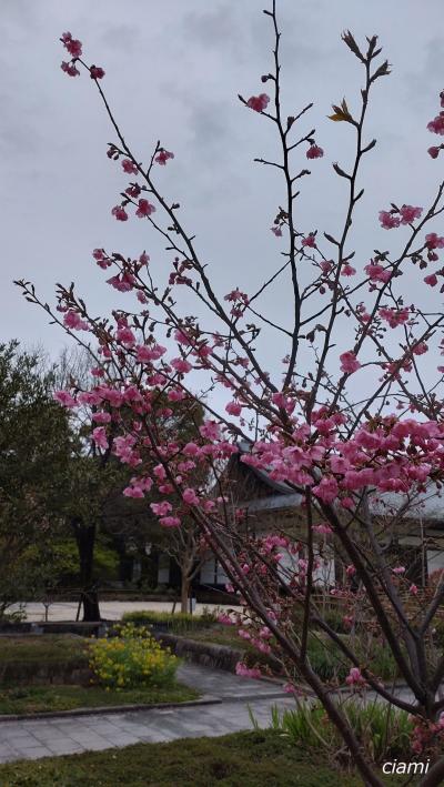 徳川美術館と名古屋のお土産　202303愛知⑤