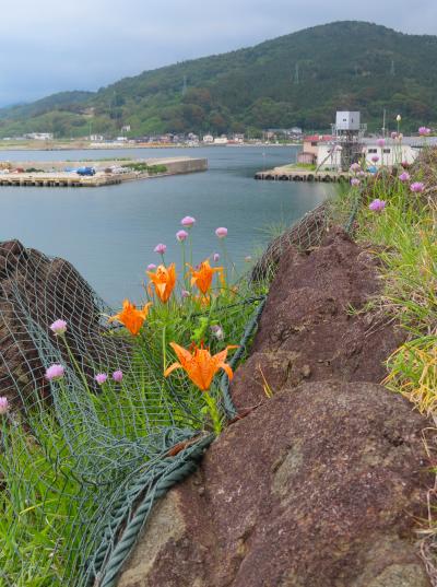 晴れおじさん「梅雨入り前に初夏の日本海」を見に行く