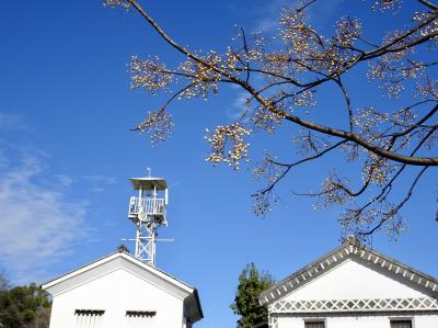 倉敷美観地区・大原美術館・足立美術館・神話の地 出雲大社へ 1日目