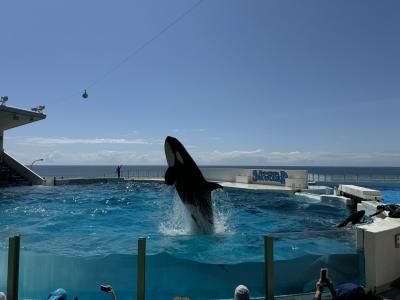 春の鴨川へ、南房総の鴨川温泉でのんびり２泊