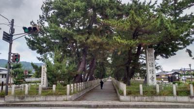 法隆寺 ～ 薬師寺・唐招提寺 ～ 奈良公園　便利な回遊路線バス（公共交通機関のみ）