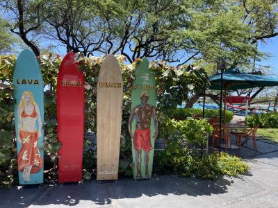 ハワイ島 日本からヒロからワイコロアからコナへ ワイコロア編1