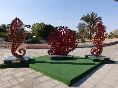 5年ぶりの海外 ヨルダンへ アカバ ⑧