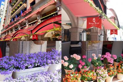 お花とくまポチ溢れるカワイイホテル❀【ホテルケーニヒスクローネ神戸 宿泊】