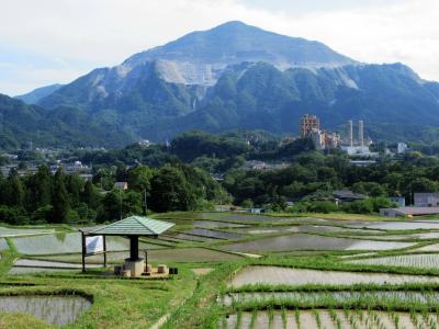 横瀬町の寺坂棚田