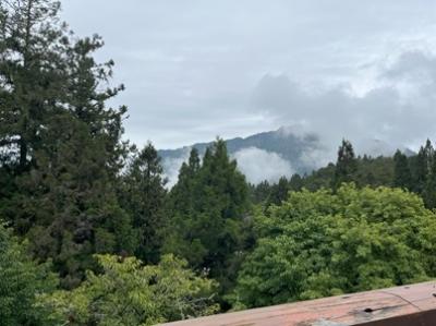 2024.5月 久しぶりの台湾街歩き（台中から阿里山トレッキング）