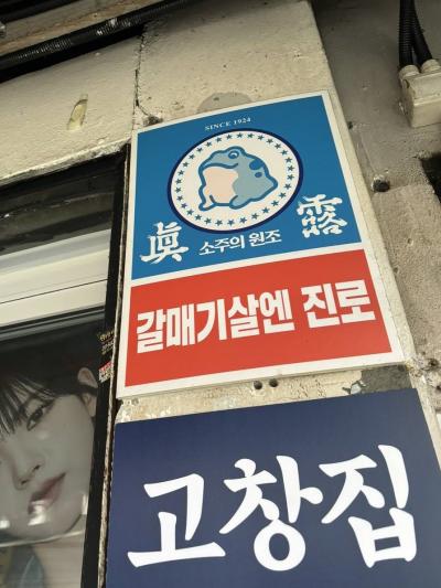 バックパッカーのお稽古《海外研修ソウル編》その4：2024年GWの旅