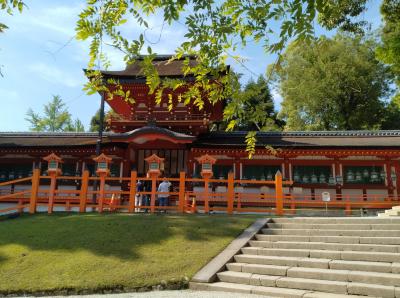 奈良『世界遺産』巡りの旅～！！　天然温泉 吉野桜の湯 御宿 野乃 奈良（ドーミーイン）