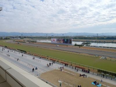 たまにはベタなギャンブルめし2311　「京都競馬場で、京風たこ焼き＆かすうどんをいただき人生初の馬券を購入しました。」　～淀・京都～