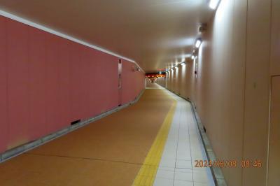 2024 バブル遺産 東京通勤圏の天空ニュータウン Part2 『パストラルびゅう桂台』