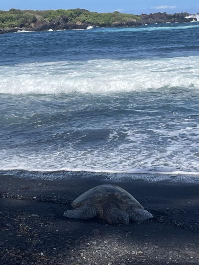 2023.8 ハワイ島旅行記 2日目