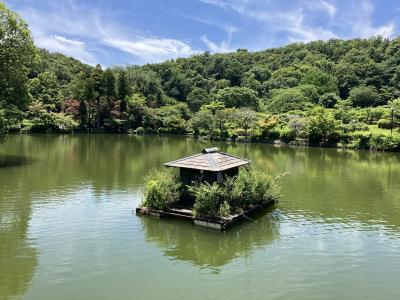 町田薬師池公園・四季彩の杜西園は広かったー！！ 