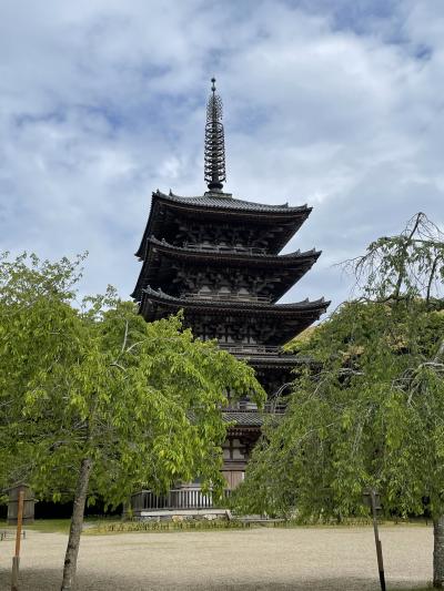 青紅葉の奈良・京都へ⑤小野小町由来のお寺随心院と醍醐寺へ。締めは品川のメキシカンでマルガリータで乾杯