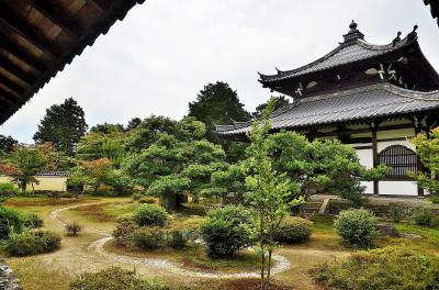 問柳尋花 京都嵯峨野逍遙②仏牙寺鹿王院（後編）