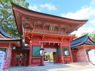 新品ＤＶＤ　自然の中の神々8　富士山本宮浅間大社　本宮・奥宮◆◆静岡県富士宮市● 新品DVD 自然の中の神々8 富士山本宮浅間大社 本宮・奥宮◇◇