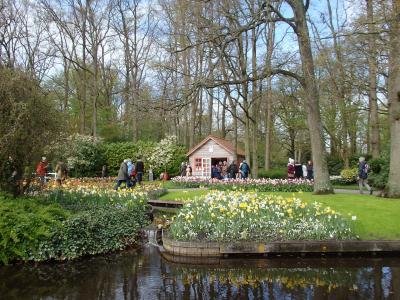 オランダ様♥️専用ページ オランダ観光情報 | オーダーメイドの旅 Japan Holland Link
