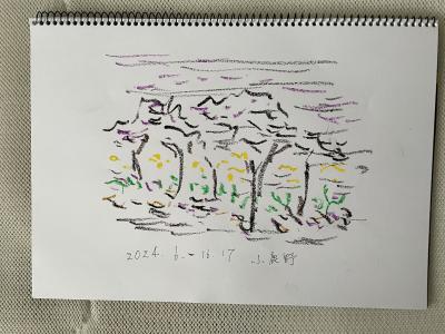 小鹿野第7弾、蛍 Lightning Bug