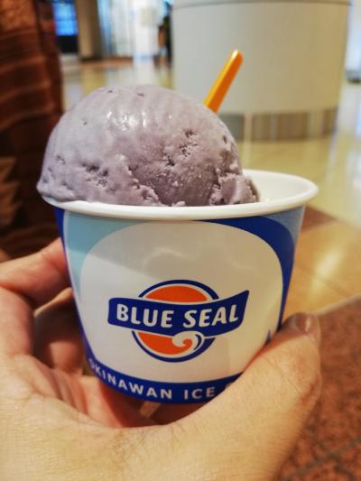 【3歳双子 子連れ旅】2024年6月 梅雨の沖縄3泊4日⑤　★最終日★ 