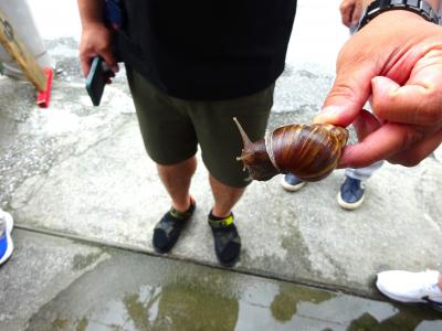 大雨警報の沖縄だったけど、それなりに楽しんで来ました・・・☆２０２４．６☆