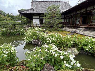水無月の京都へ　