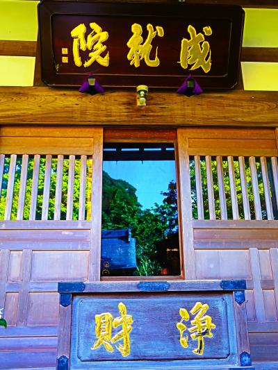 鎌倉-5　極楽寺駅あたり　成就院　不動明王/あじさいを訪ねて　☆極楽寺駅　極楽洞　極楽寺