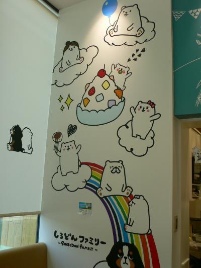 かごんまの「しろくま」さんhunting