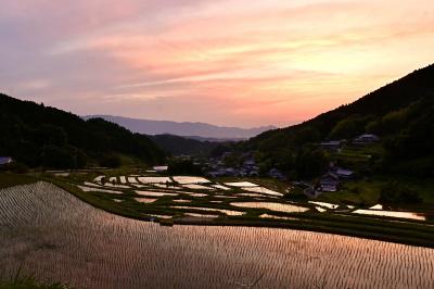明日香村の水鏡　細川谷から見た棚田の夕暮れ