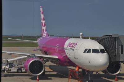 2024年6月新潟日帰り旅行2（ピーチ便で関西空港へ）