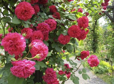 避暑地を求めて(2) 南軽井沢 レイクガーデン