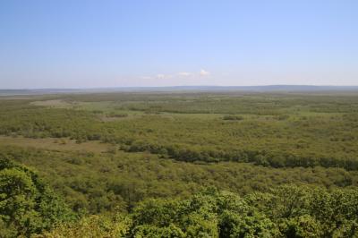 ネイチャーガイドの案内で釧路湿原展望台まで行き、釧路駅からノロッコ号で湿原を車窓から観る