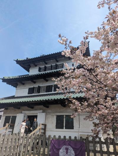 桜を見る旅 青森から北海道へ①弘前公園