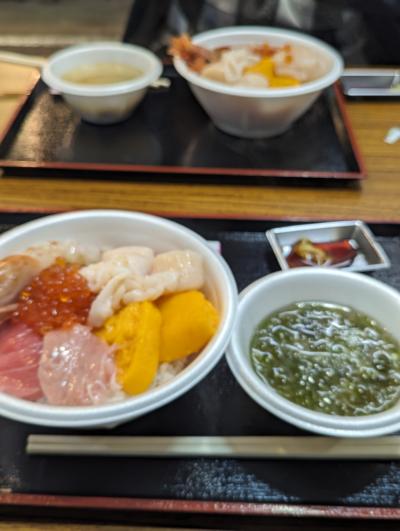 桜を見る旅 青森から北海道へ ②青森