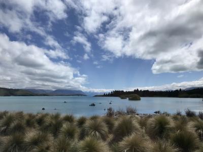 ニュージーランド絶景の旅８日間 3 テカポ湖とクライストチャーチ