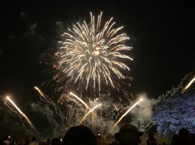 バラのライトアップと花火と幻想的な清津峡